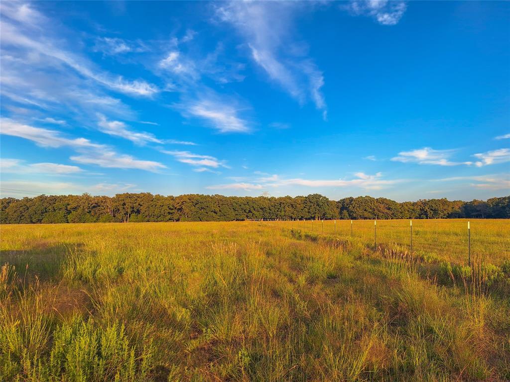 Willow Bend Acres - Land