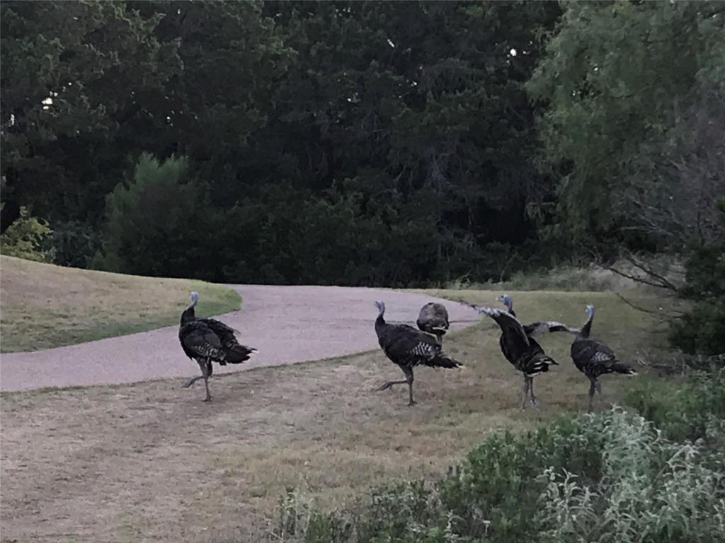 White Bluff #24 - Land