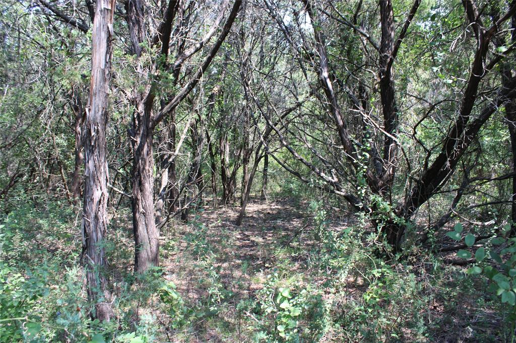 White Bluff #24 - Land