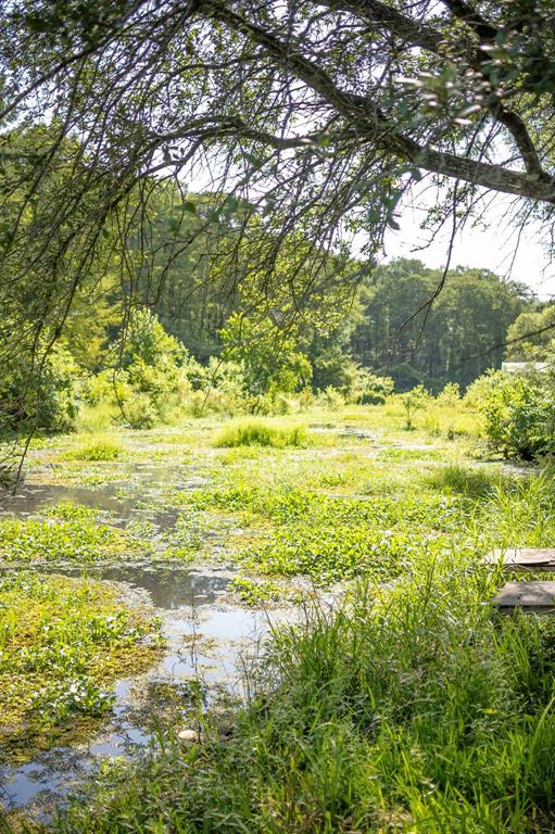 523 Big Lake Rd 523 Big Lake Rd Road