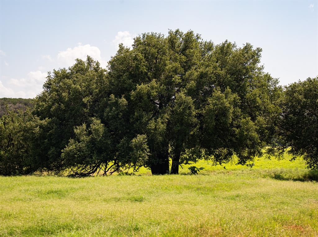 Brazos Mountain Ranch Ph 2 - Land