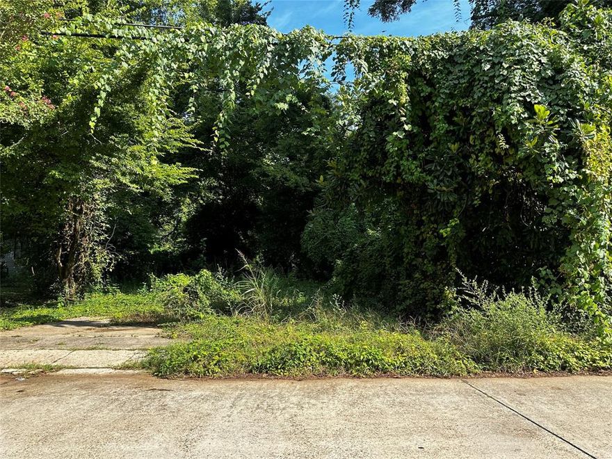 Seize the opportunity to build your home on this residential lot in Waterside Sub. Zoned for residential use, allowing you to build a single-family home or a custom-designed residence that suits your lifestyle. Essential utilities are readily available, streamlining your building process.