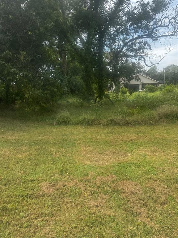 Original Cleburn - Land