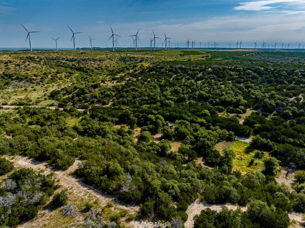 T & P Rr Company Surv Sec 17 - Residential