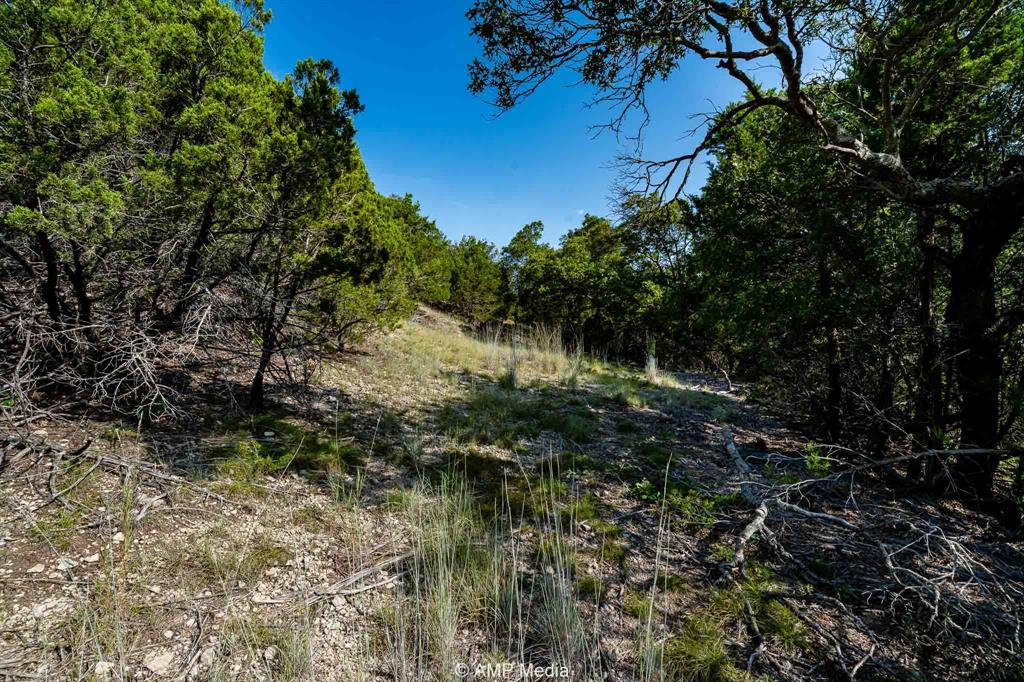 T & P Rr Company Surv Sec 17 - Residential