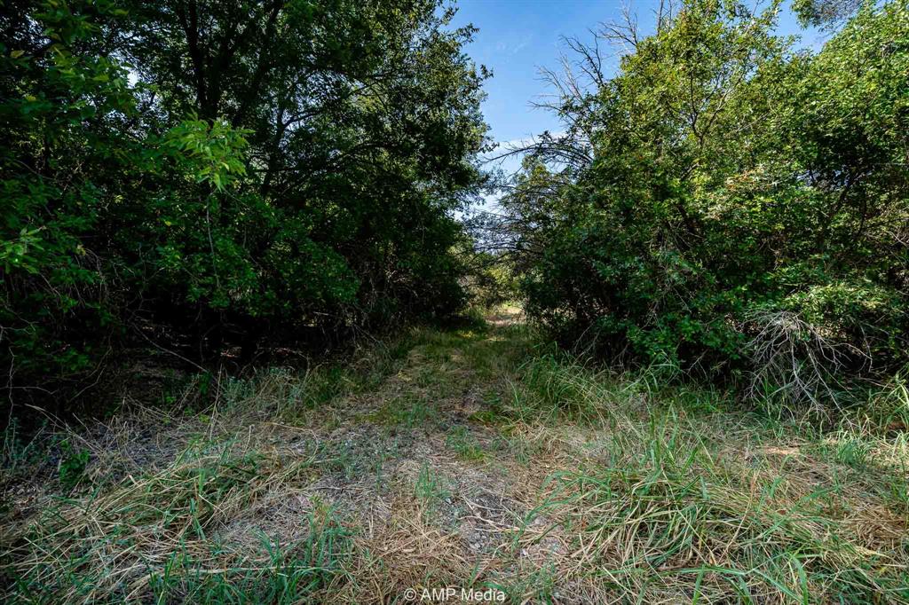 T & P Rr Company Surv Sec 17 - Residential