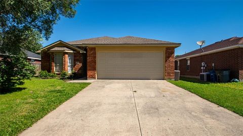 1133 Lake Haven Drive Little Elm TX 75068