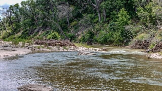 Anson Darniel Surv Abs # 222 - Land