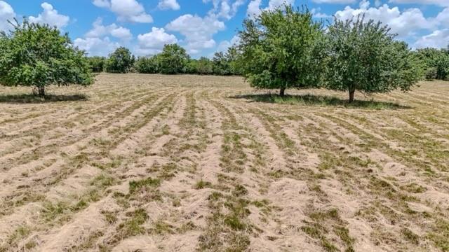 Anson Darniel Surv Abs # 222 - Land