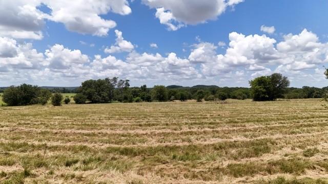 Anson Darniel Surv Abs # 222 - Land