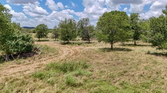 Anson Darniel Surv Abs # 222 - Land