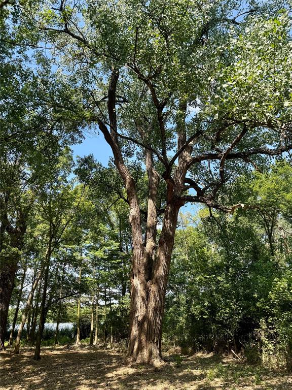 Waters Edge Ranch Ph 3 - Land