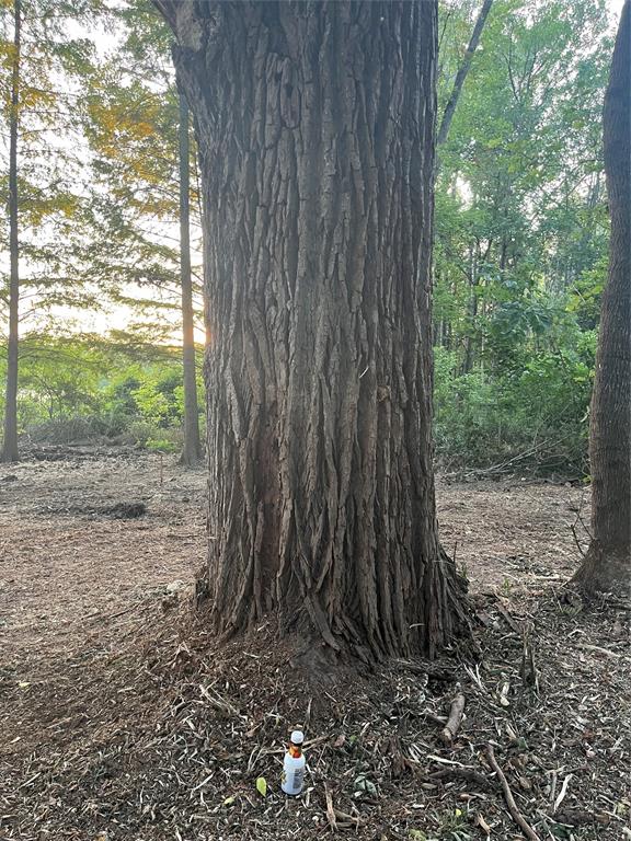 Waters Edge Ranch Ph 3 - Land