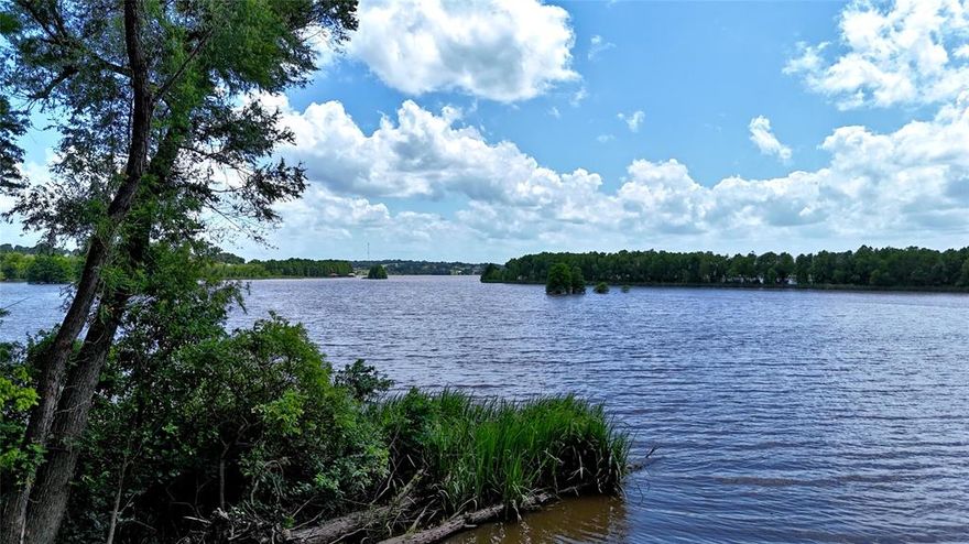 BIG price reduction for a limited time! Owner is willing to pay for all 2025 taxes and POA dues for 2025 AND 2026 if Buyer purchases the property before the end of 2025! Experience lakeside living in the exclusive, gated community of Waters Edge Ranch! This expansive 1.38-acre lot offers approximately 155 feet of beautiful water frontage, with breathtaking views and has been partially cleared ready for your custom build. Enjoy the unmatched amenities of this private community, including a 328-acre private lake, resort-style pool, boat ramps, pickleball court, private RV storage, and more—all reserved for property owners. Despite the peaceful seclusion, you're just a short drive north of Athens, combining tranquility with convenience. Water and electricity are available at the road.