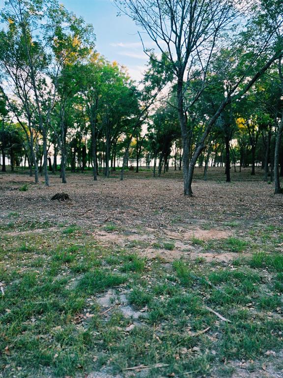 1981 Underwood Drive