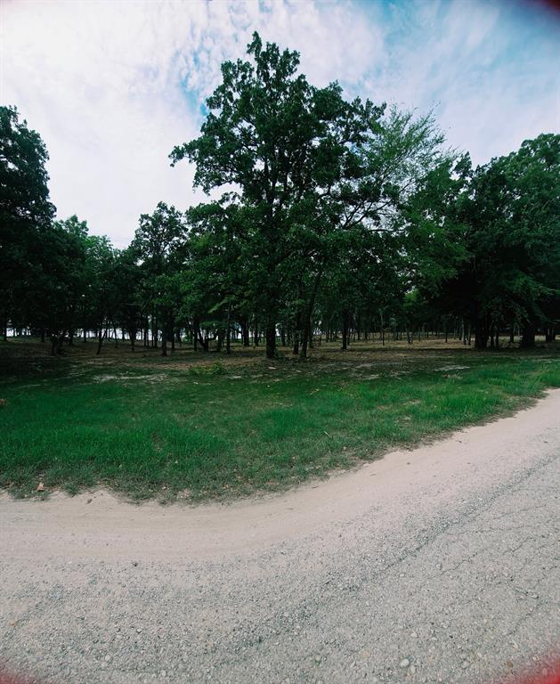 1981 Underwood Drive