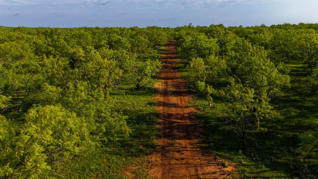 Creed Ranch - Farm