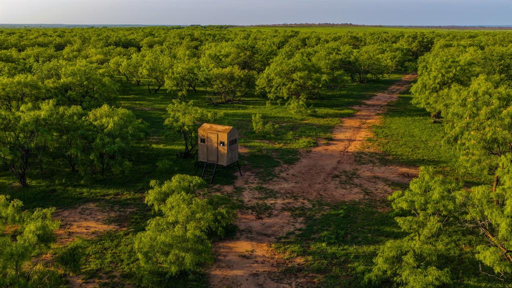 Creed Ranch - Farm