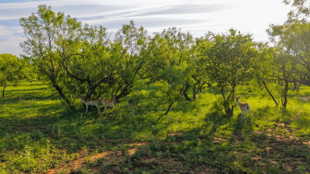 Creed Ranch - Farm