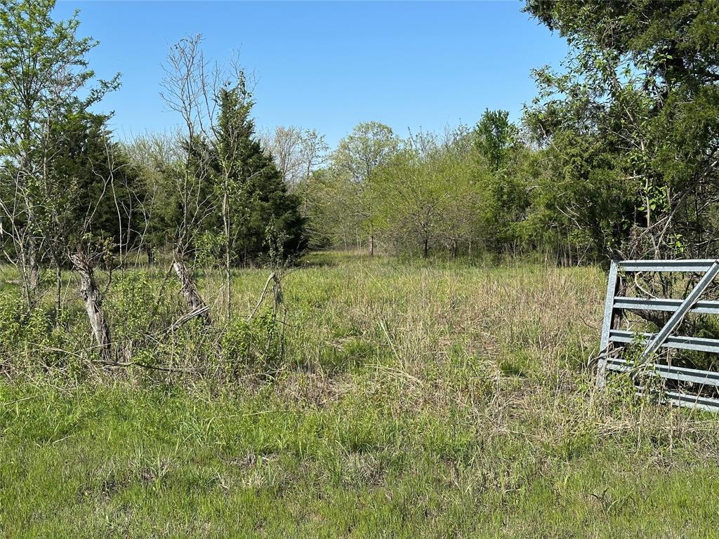 Tract 6 Farm to Market 1743