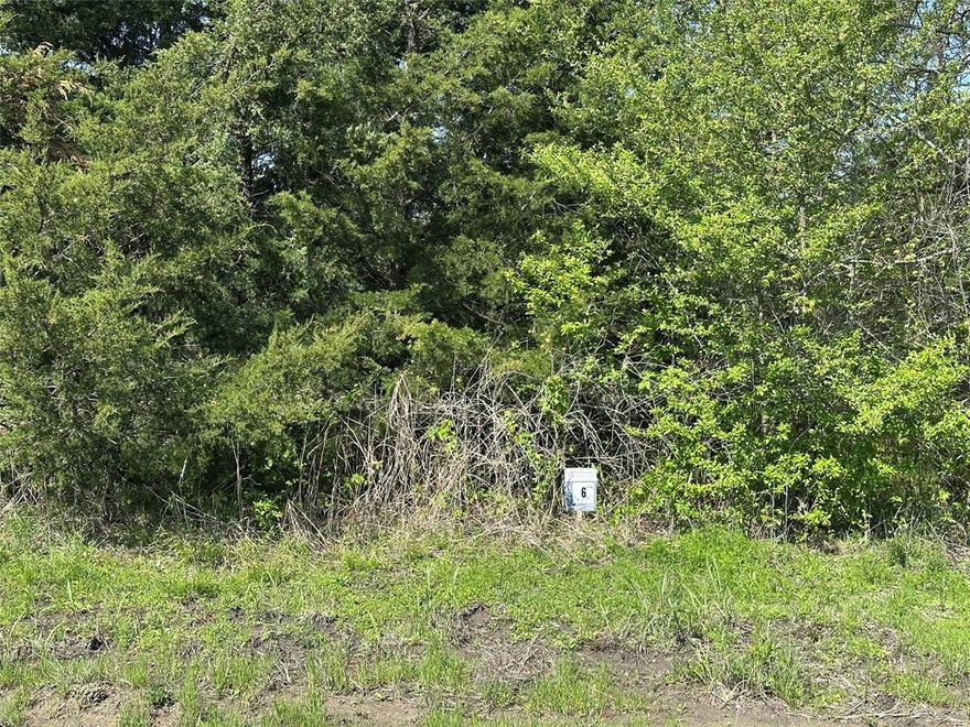 Rare Opportunity to purchase 5 acres of hard-to-find land near the brand-new Bois D Arc Lake. With the lake estimated to open in 2024, secure your property while it is still affordable. Bois D'Arc Lake Estates is offering introductory pricing on the first 10 lots sold before prices are raised 40% on the remaining 14 parcels. Beautiful, scattered hardwood trees on nice roads close to the public boat ramps on FM 897. Water is now available along FM 1743 parcels and will be extended to all parcels soon. These lots fall into the new lake zoning of 5-acre minimum parcels. 24 parcels in total are being offered in 5- and 10-acre configurations. TX.D.O.T. culvert permits have been submitted and Water Will-Serve letters are in-hand. Septic is required. Lake is about 90% full and opens to boats soon. The lots are on the FUN side of the lake designed for recreational boating. Owner Lending, 15% Down, 10% Interest, 5 Year Note.