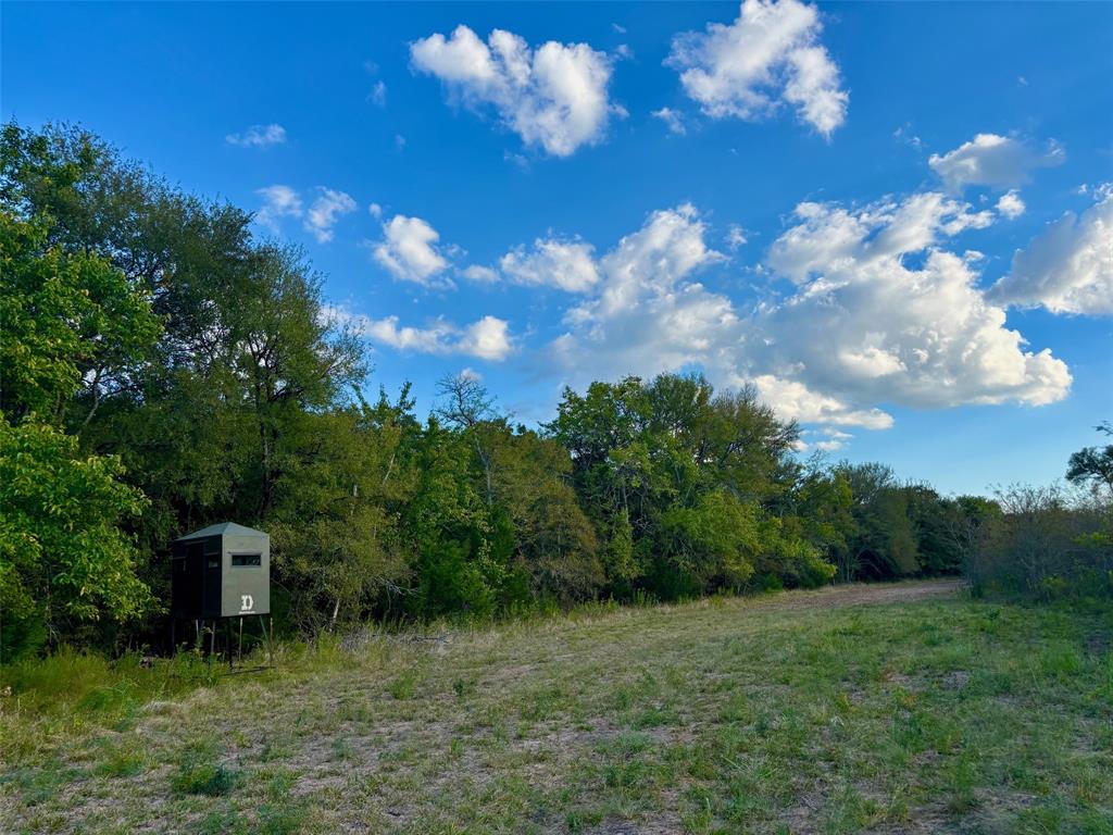 Moses Parker Surv Abs #820 - Land