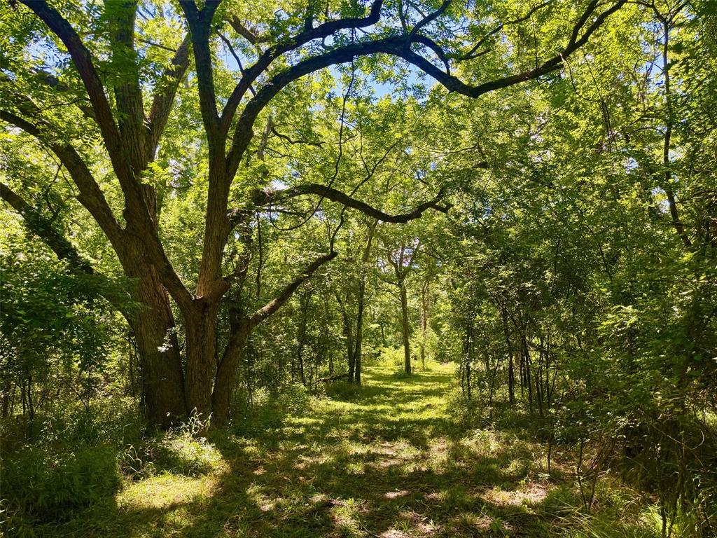 Moses Parker Surv Abs #820 - Land