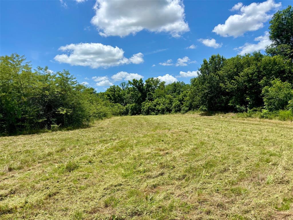 Moses Parker Surv Abs #820 - Land