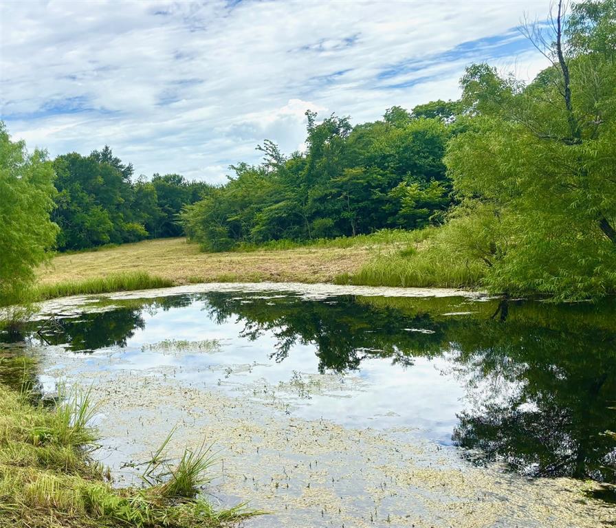 Moses Parker Surv Abs #820 - Land