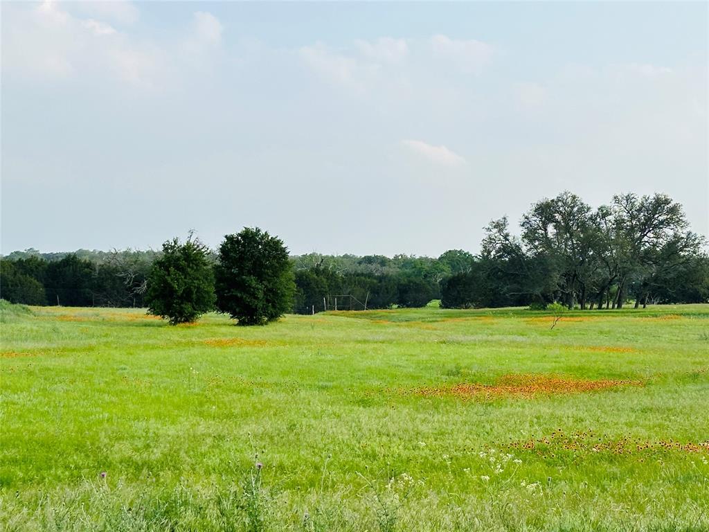Ranches At Blackbuck Ridge - Land