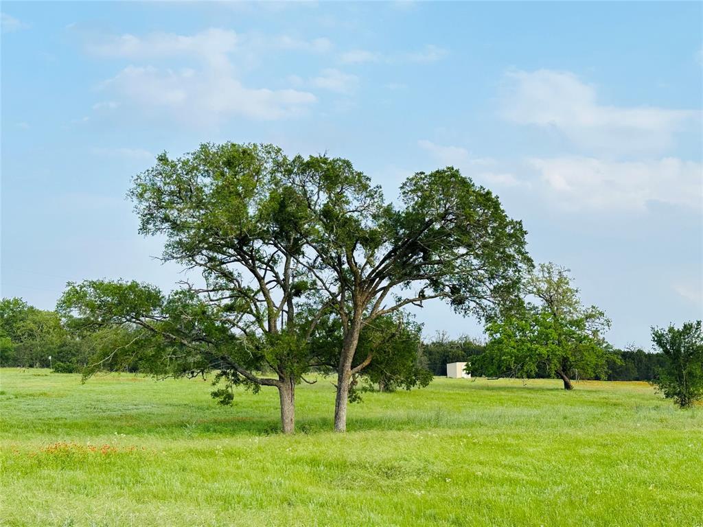 Ranches At Blackbuck Ridge - Land