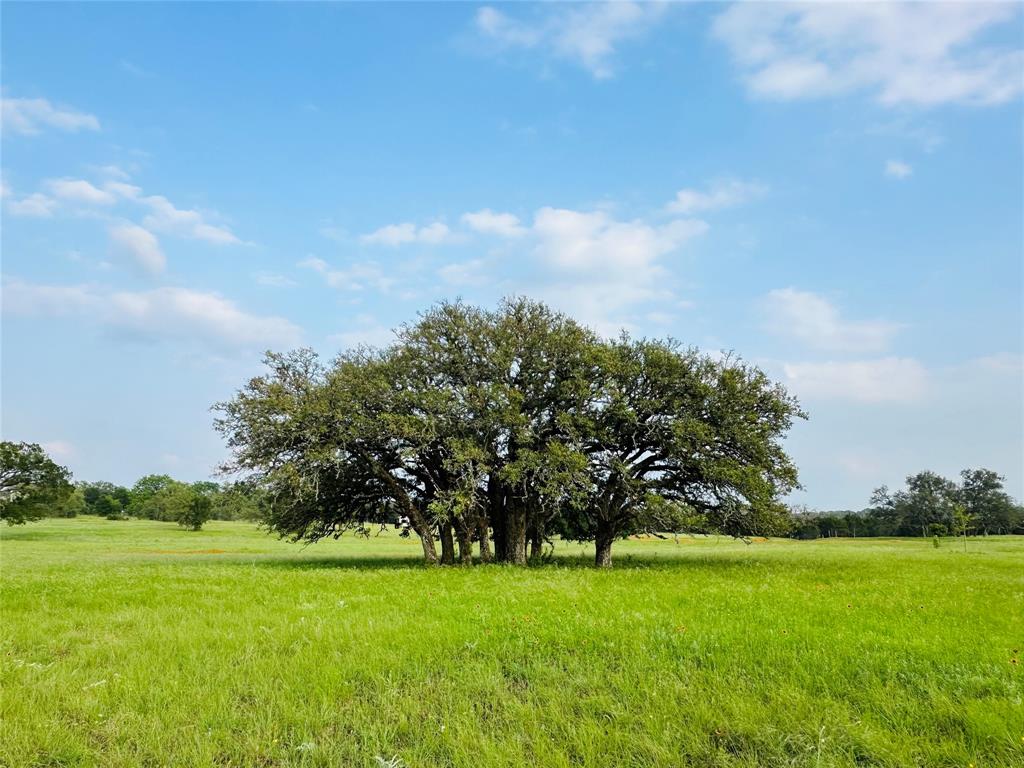 Ranches At Blackbuck Ridge - Land