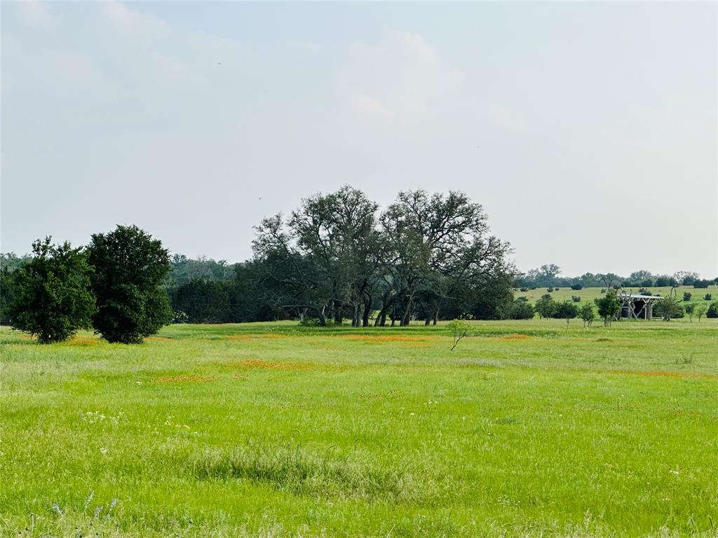 Ranches At Blackbuck Ridge - Land