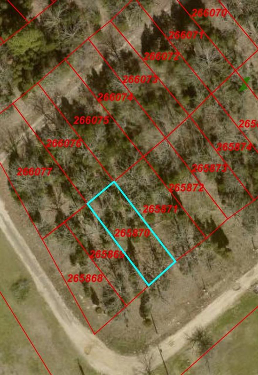 Great opportunity to purchase a buildable lot in Henderson County! This property can be purchased individually or bundled with additional available lots for investors looking to expand their portfolio. The lot features a level layout with scattered mature trees, creating a beautiful setting for a future homesite or a long-term hold. Located within an established subdivision, it offers a peaceful, rural atmosphere while remaining conveniently accessible to nearby highways, towns, and Cedar Creek Lake. Owner financing is available, making this an excellent opportunity for buyers seeking flexible purchase options.