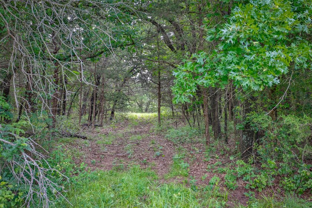 783 County Road 128