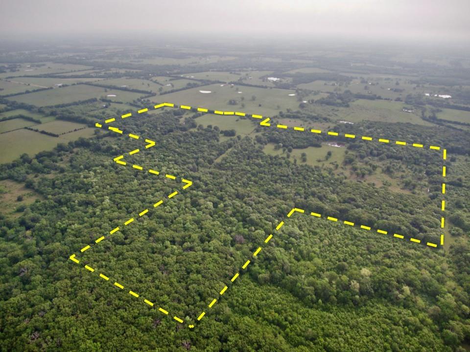 WB Patton Survey, Abstract 0726 - Residential