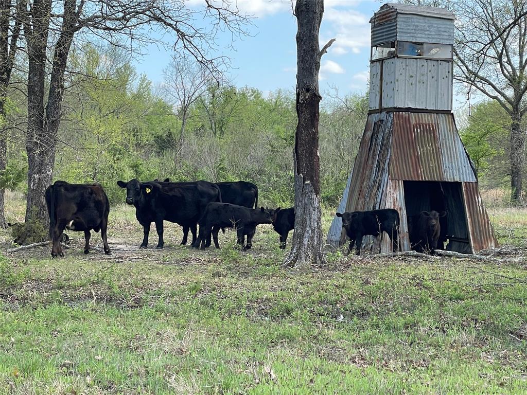 WB Patton Survey, Abstract 0726 - Residential