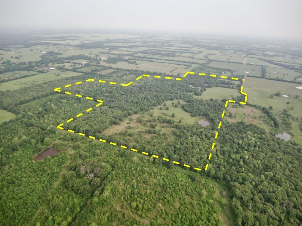 WB Patton Survey, Abstract 0726 - Residential