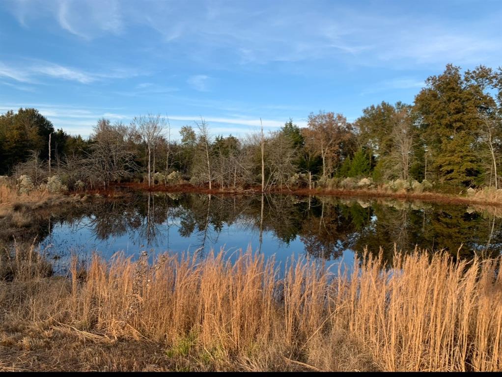 WB Patton Survey, Abstract 0726 - Residential