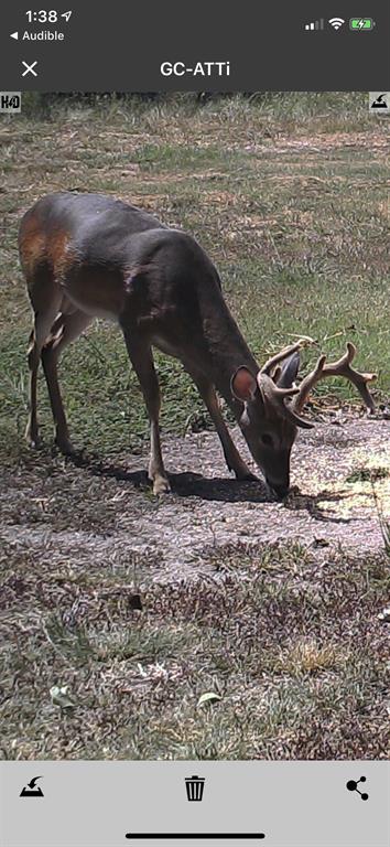 WB Patton Survey, Abstract 0726 - Residential