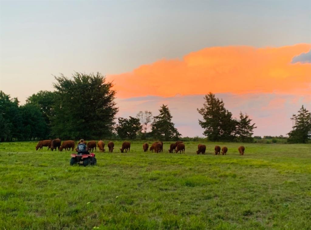 WB Patton Survey, Abstract 0726 - Residential