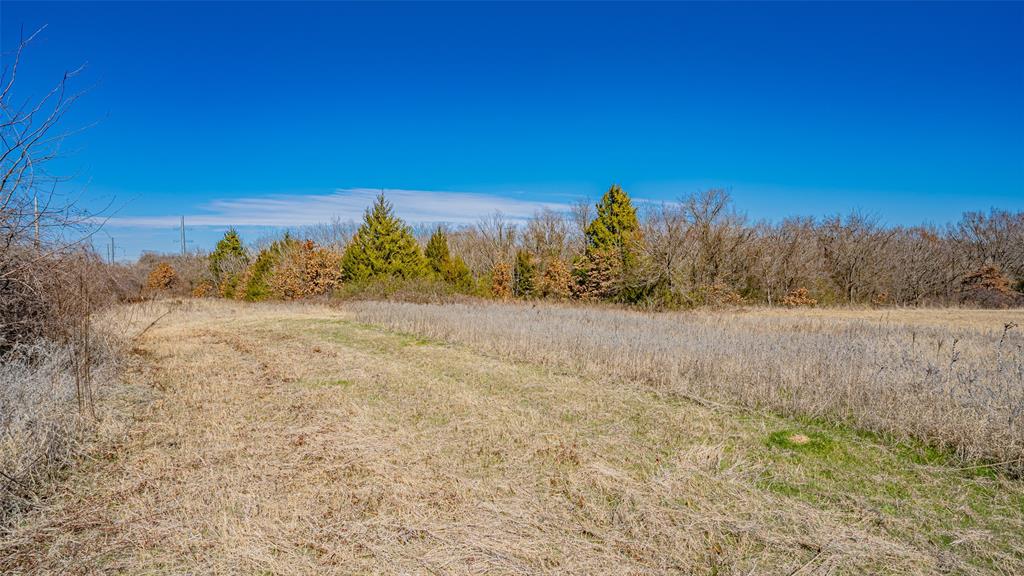 Little Grandchildren Add - Land