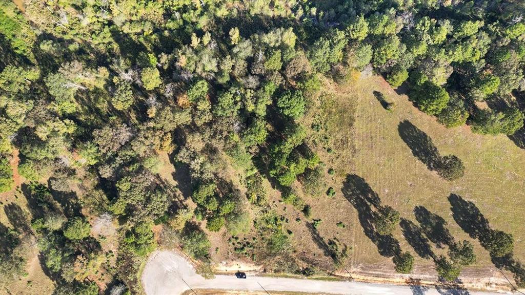 TBD PR 3398 Road