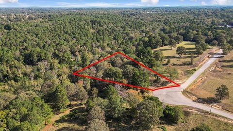 TBD PR 3398 Road Big Sandy TX 75755