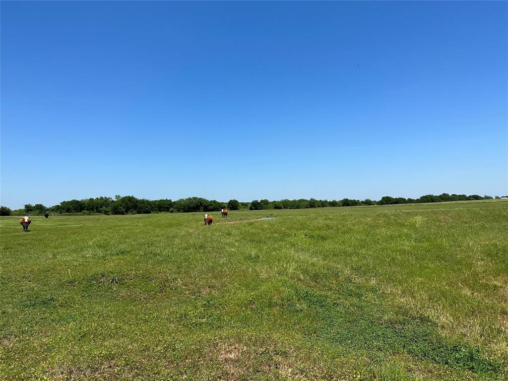 Lake Valley Ranch - Land