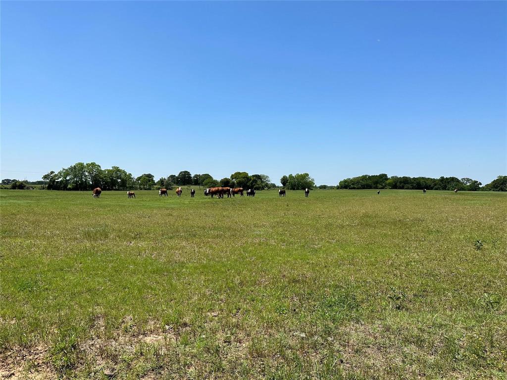 Lake Valley Ranch - Land