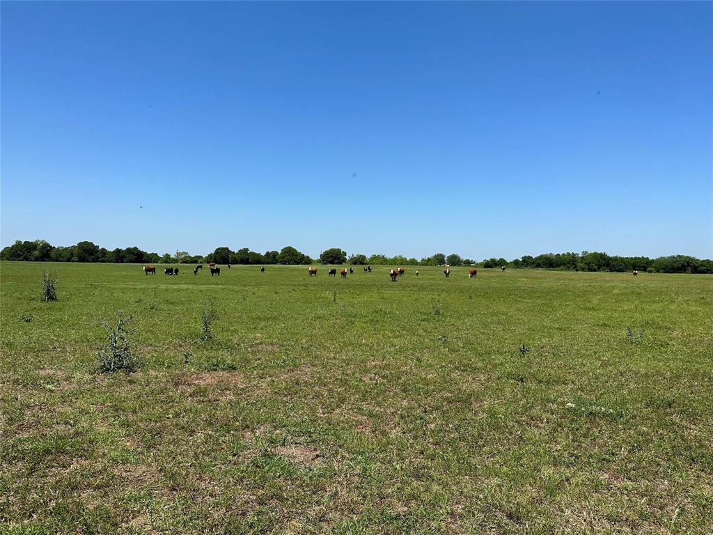 Lake Valley Ranch - Land