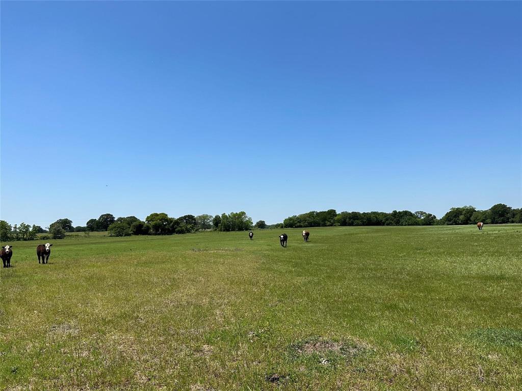 Lake Valley Ranch - Land