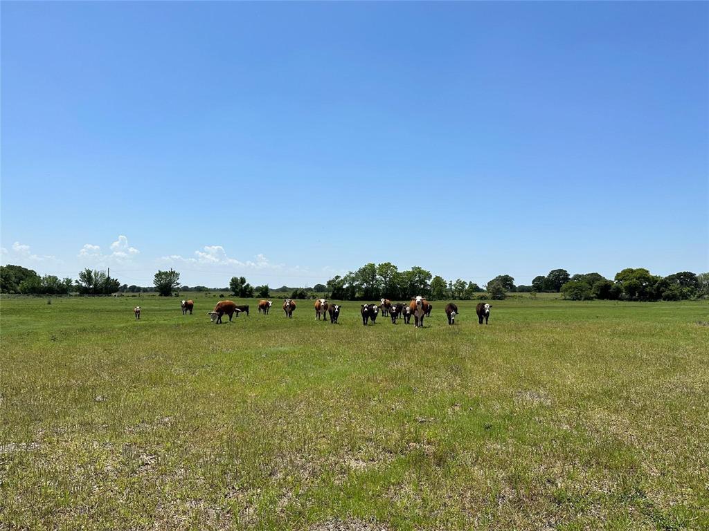 Lake Valley Ranch - Land