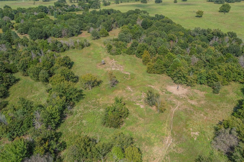 ABS A10819 J WHITE ABST TRACT 35 60.873 ACRES - Farm